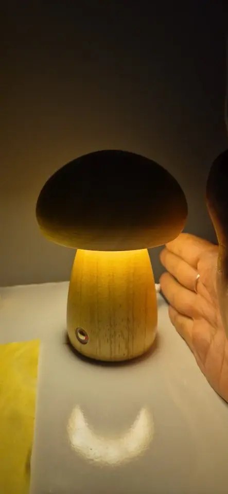 Customer photo of Wood Mushroom