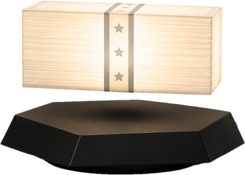 Floating Fortune – Floating Money Lamp