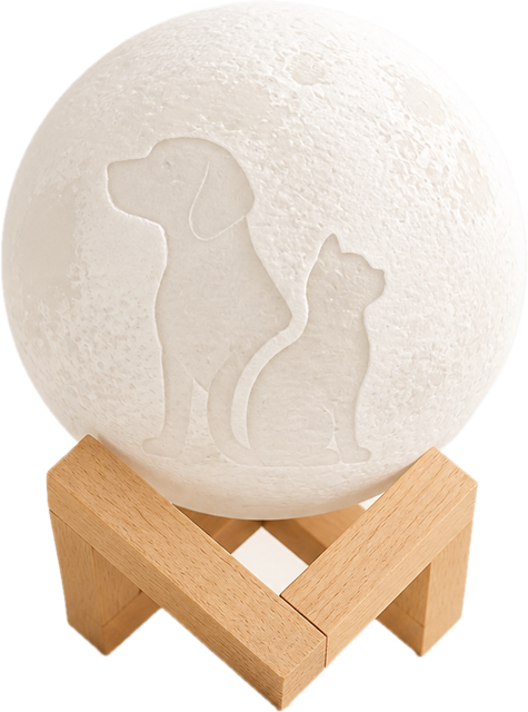 Photo Moon – Custom Photo Moon Lamp