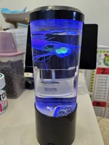 Customer photo of Jellyfish Aquarium