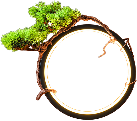 Bonsai Halo – Bonsai Tree LED Ring Lamp