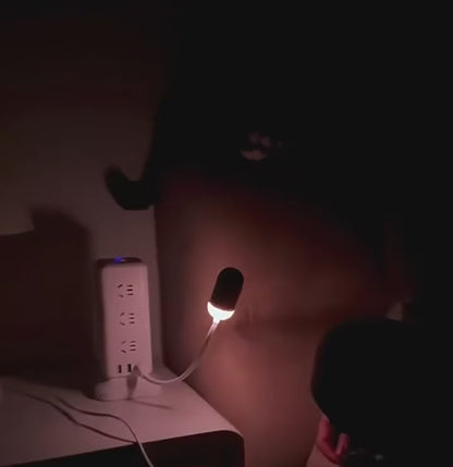 Twin Galaxy – 2-in-1 Mini Galaxy Projector Lamp