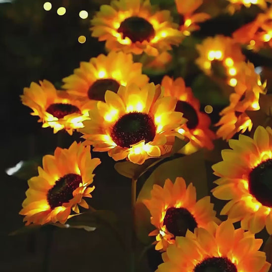 Solar Sunflowers – Solar Sunflower Garden Lamp