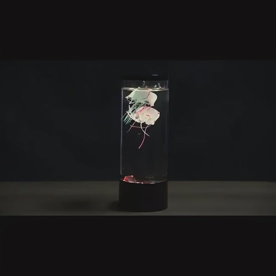 Jellyfish Aquarium – Color-Changing Aquarium Lamp