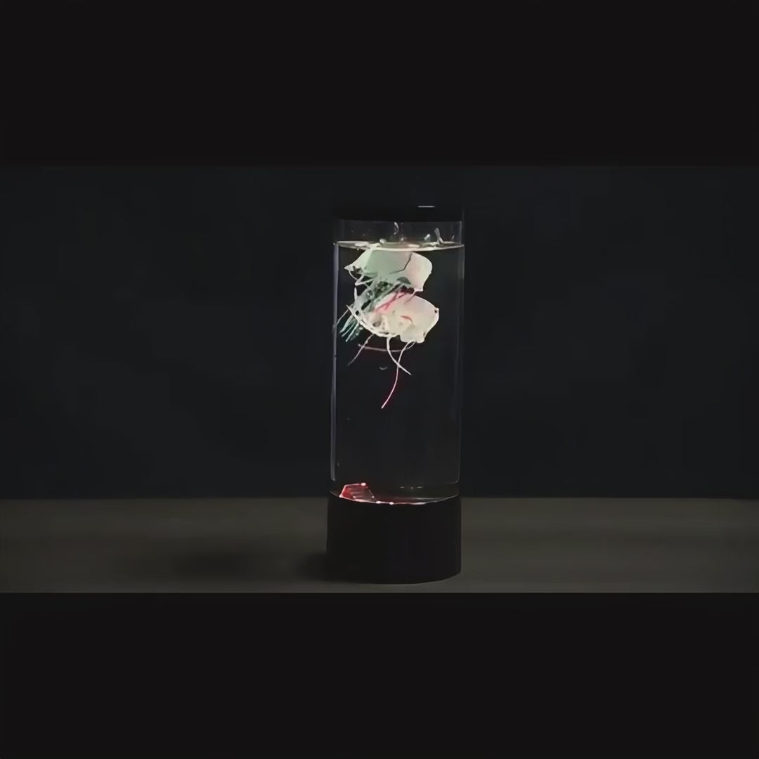 
Jellyfish Aquarium – Color-Changing Aquarium Lamp