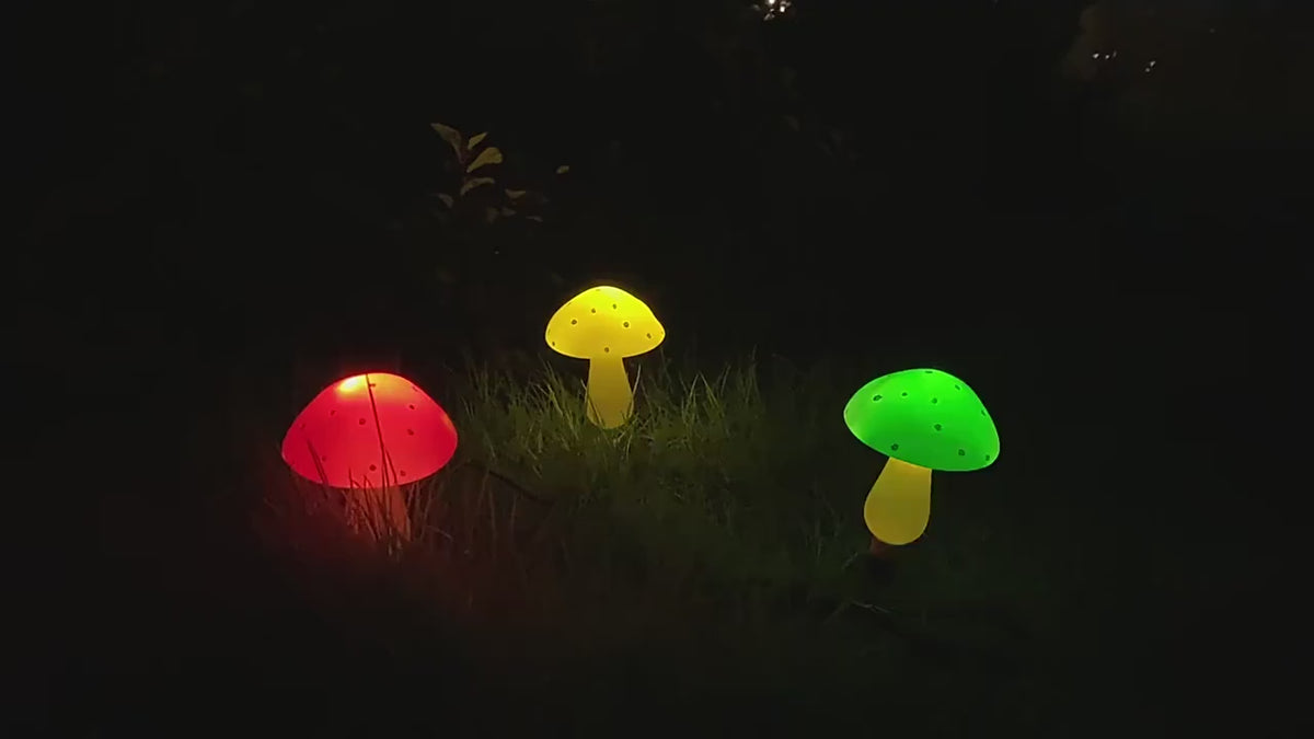 
Toadstool Path – Solar Mushroom Garden Lamps