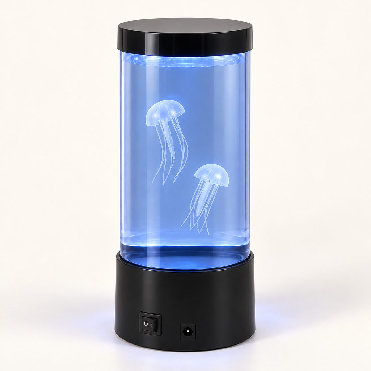 Jellyfish Aquarium — illuminated studio view